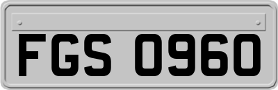 FGS0960