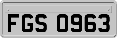 FGS0963