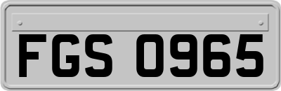 FGS0965