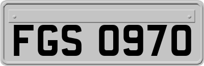 FGS0970