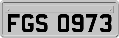 FGS0973