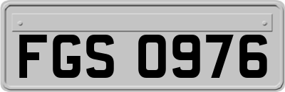 FGS0976
