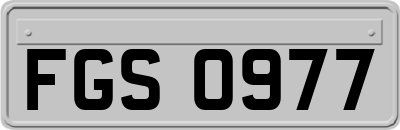 FGS0977