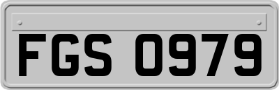 FGS0979