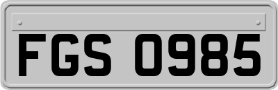 FGS0985