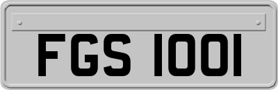 FGS1001