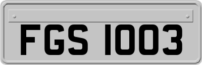 FGS1003