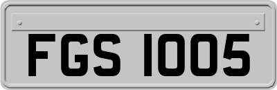 FGS1005