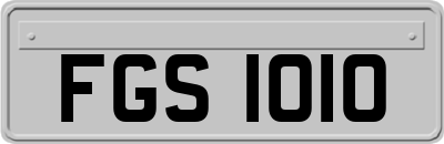 FGS1010