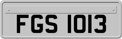 FGS1013