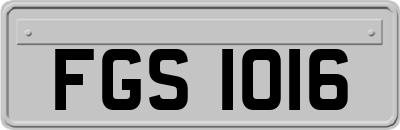 FGS1016