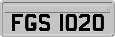 FGS1020