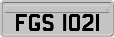 FGS1021