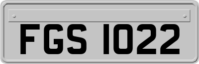 FGS1022