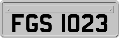 FGS1023