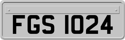 FGS1024