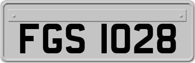 FGS1028