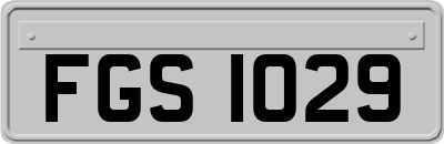 FGS1029