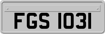 FGS1031