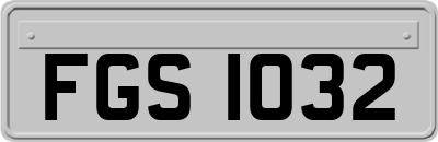 FGS1032