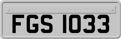 FGS1033