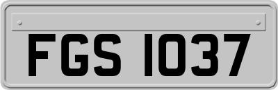 FGS1037