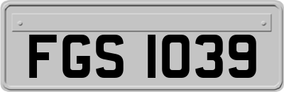 FGS1039