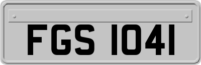 FGS1041