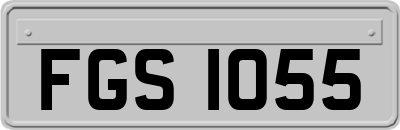FGS1055