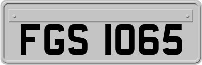 FGS1065