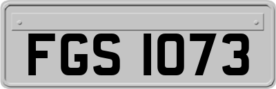 FGS1073