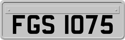 FGS1075