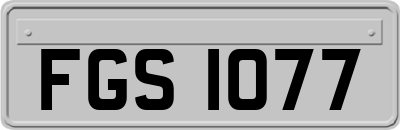FGS1077