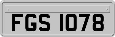 FGS1078