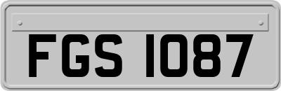 FGS1087