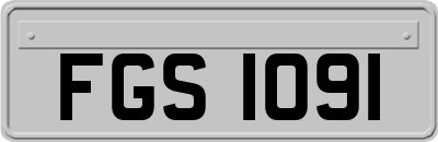 FGS1091