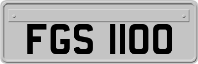 FGS1100