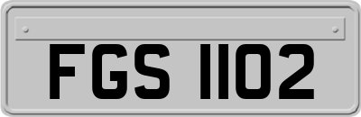 FGS1102