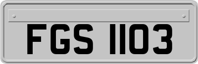 FGS1103