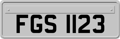 FGS1123
