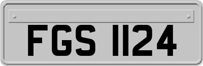 FGS1124