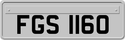 FGS1160