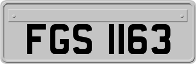 FGS1163