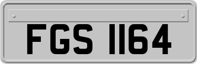 FGS1164