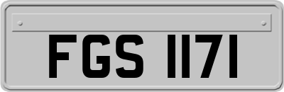 FGS1171
