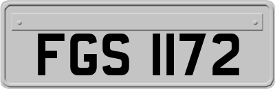 FGS1172