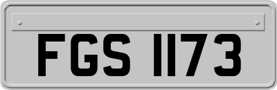 FGS1173
