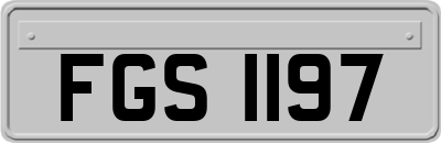 FGS1197