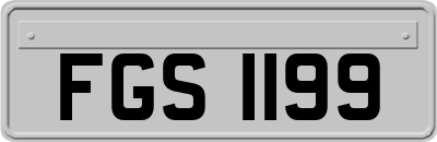 FGS1199