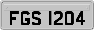 FGS1204
